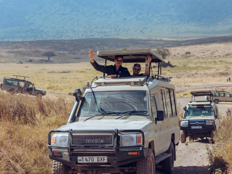 Safari Tours in Tanzania