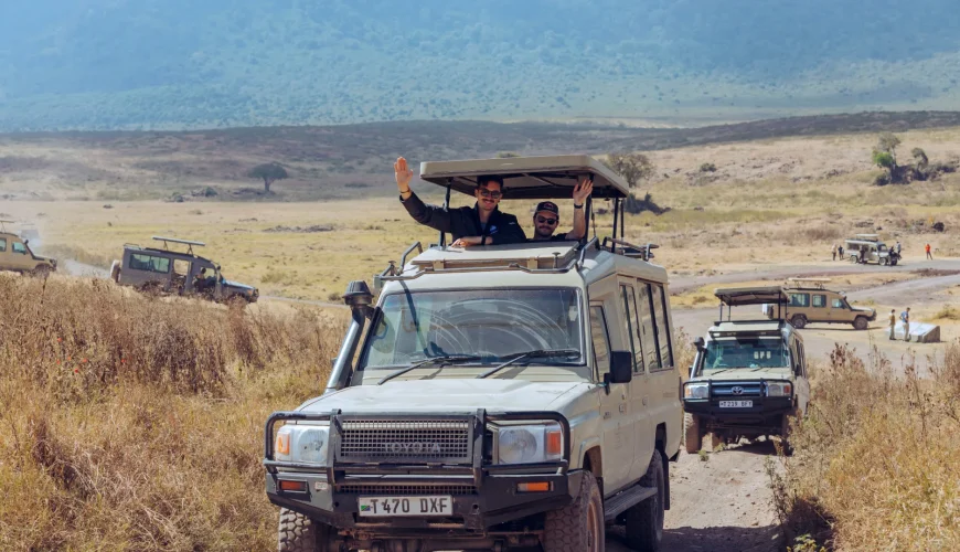 Safari Tours in Tanzania