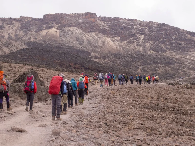 Kilimanjaro Climbing Packages