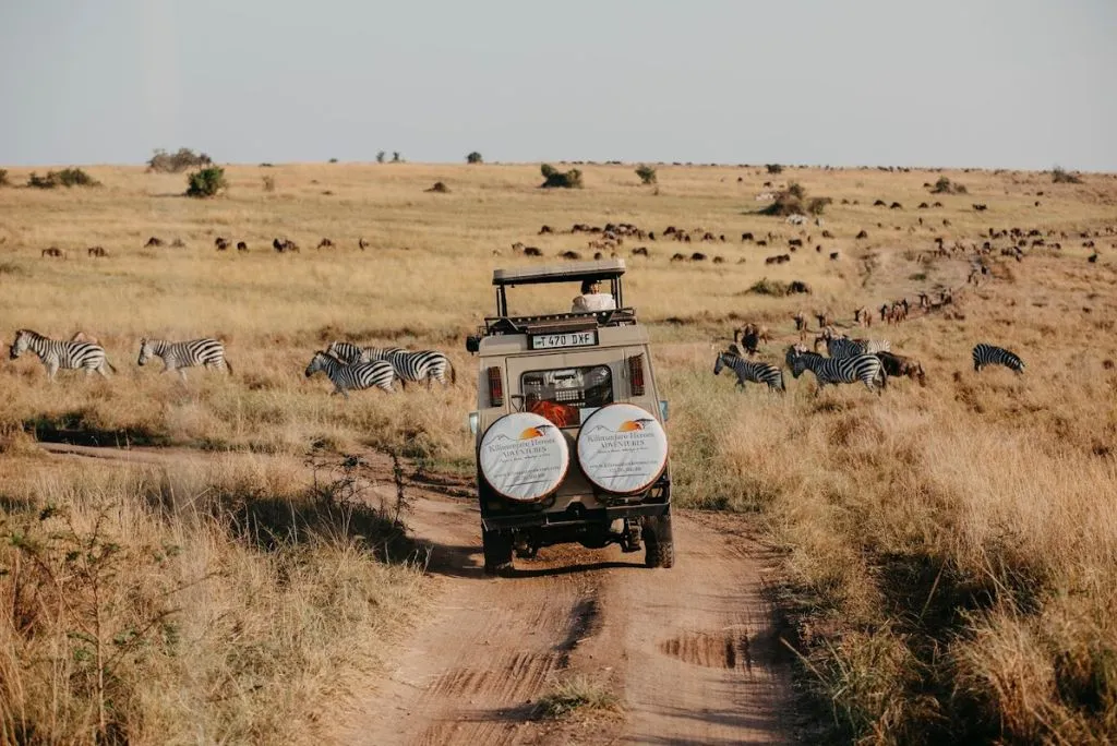 Place to See Wildebeest Migration