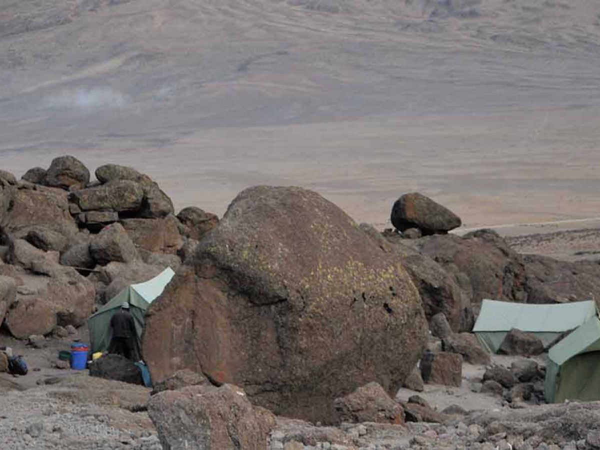 Rongai is the only route on Kilimanjaro that approaches the mountain from the North. This route requires longer transport and it is less visited, so it can cost a bit higher than the others.