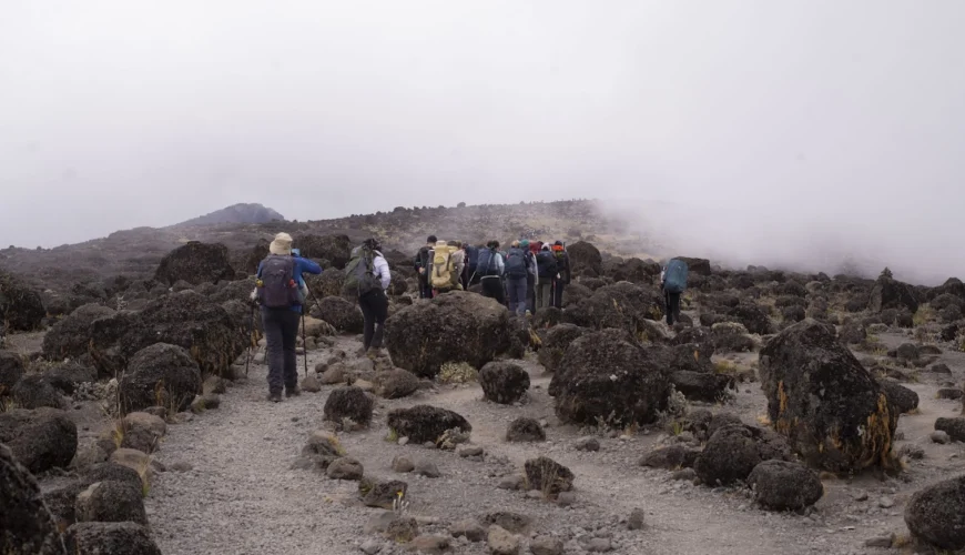 Kilimanjaro FAQ