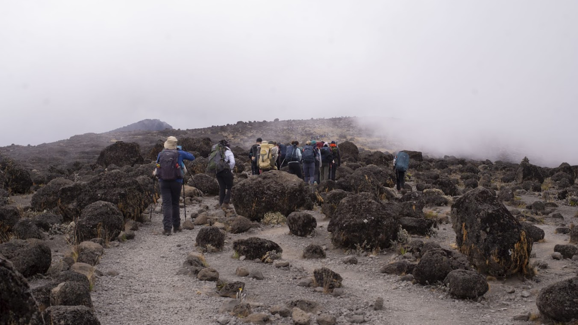 Kilimanjaro FAQ