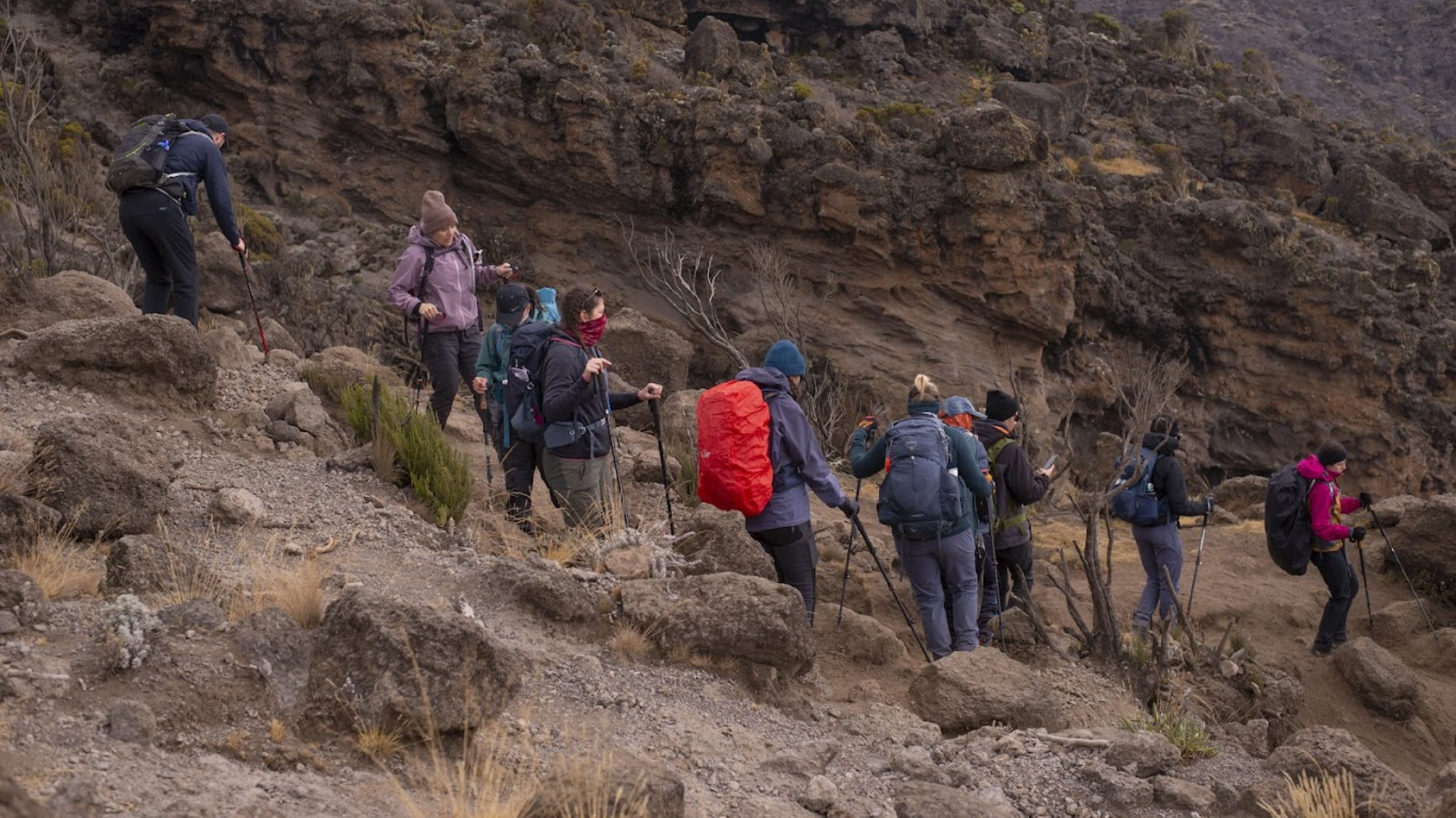 Kilimanjaro Trek Information