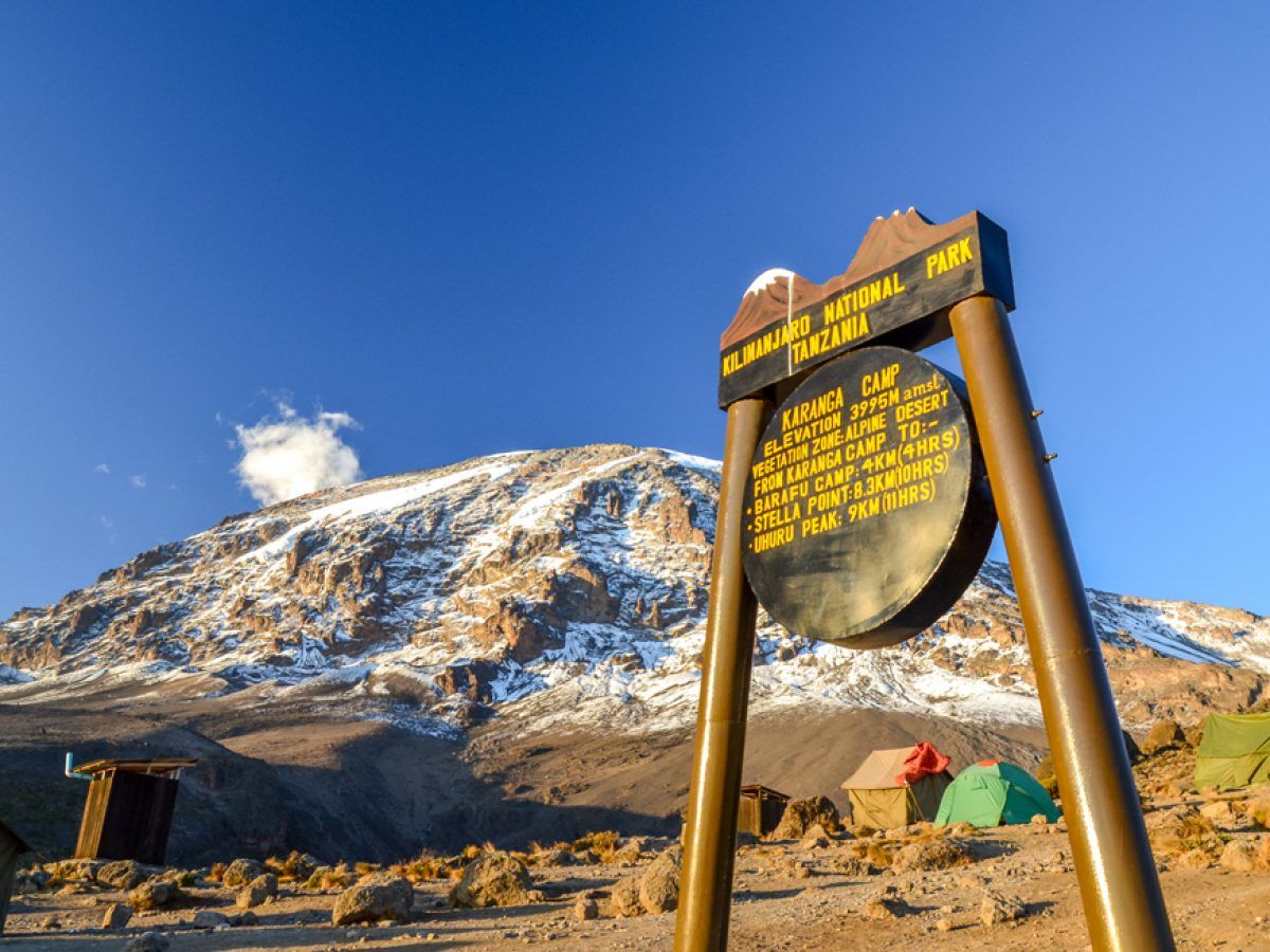 Kilimanjaro Trek Park Fees: A Detailed Guide