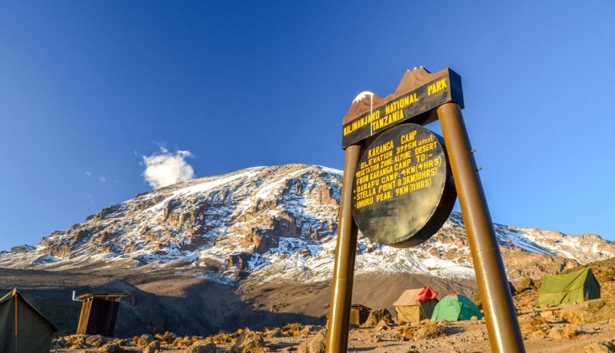 Kilimanjaro Trek Park Fees: A Detailed Guide