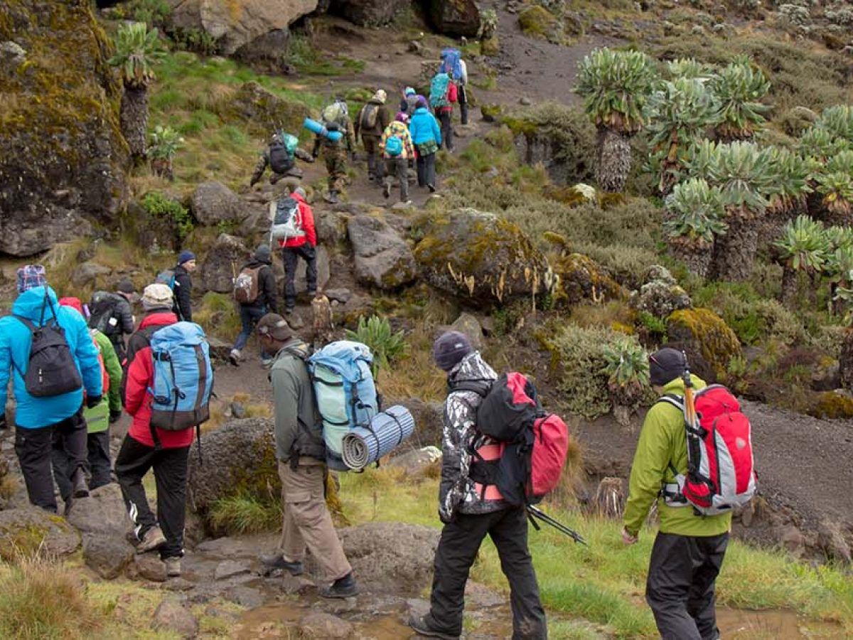 Machame Route is not easy to climb. It is not technically difficult, but it is pretty strenuous, with many steep trails that require extra strength and physical condition to pass.