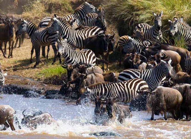 7 Days Wildebeest Migration Western Corridor