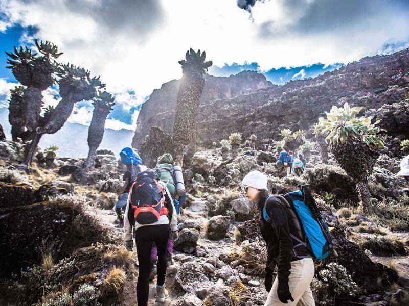 Mount Kilimanjaro