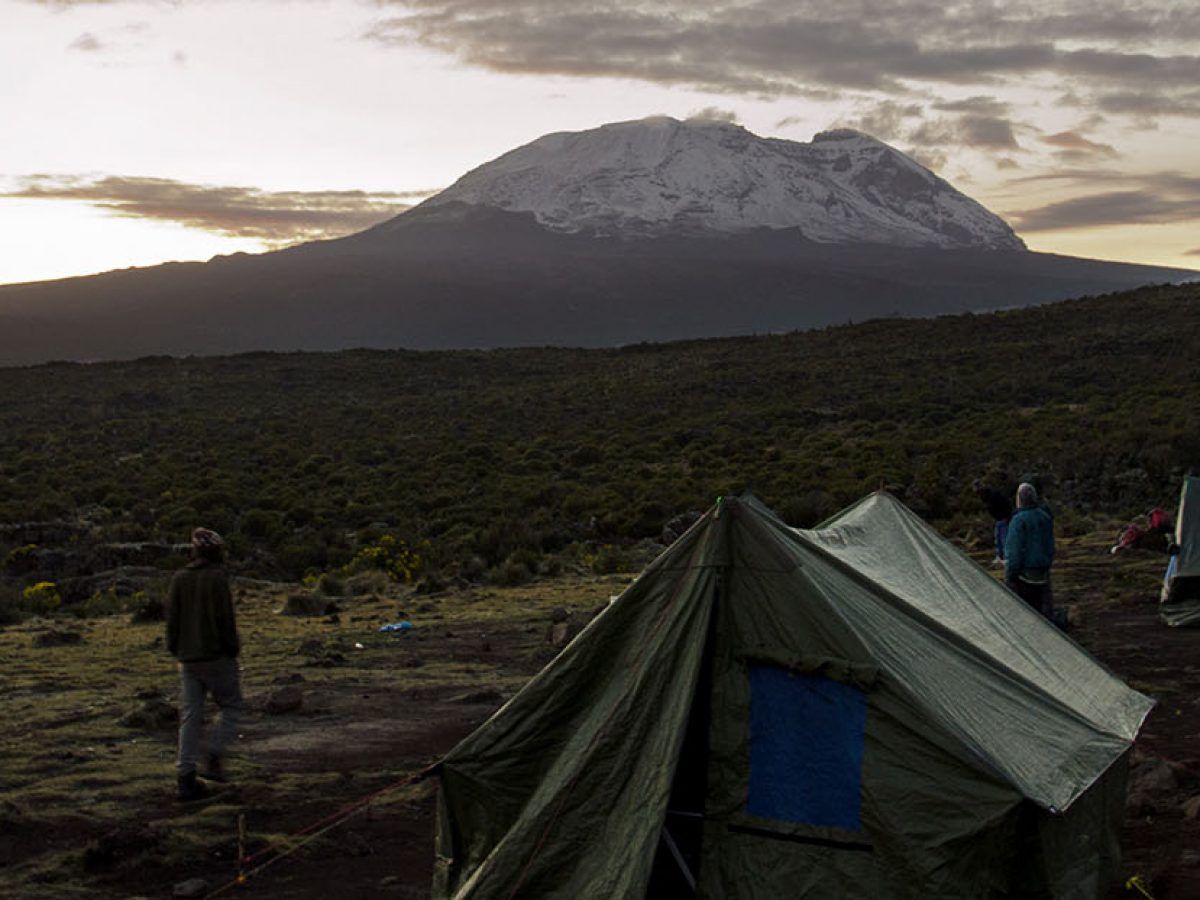 Rongai route might be not as attractive as Machame or Lemosho, but it offers amazing view of Mawenzi and Kibo Peak.