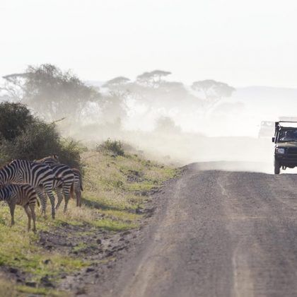 Kenya Safari to Mount Kenya, Amboseli National Park