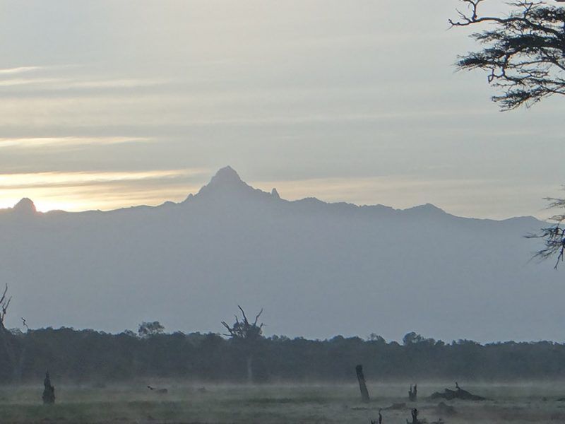 8 Days Kenya Safari to Mount Kenya & Maasai Mara