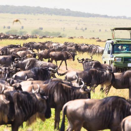 Safari To Lake Manyara, Maasai Mara National Reserve, Camping Safari