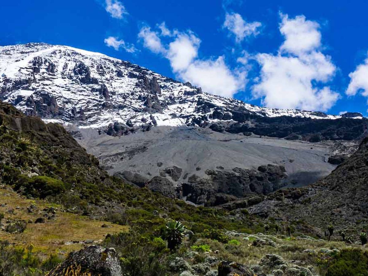 Lemosho Route approaches Kilimanjaro from the West, just like Shira and newly established Northern Circuit Route.