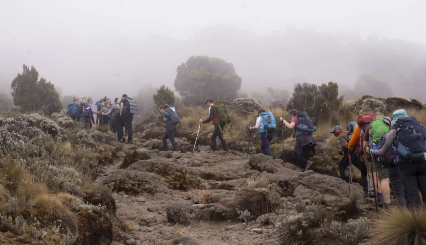 Climbing Kilimanjaro: Month-Wise Summary