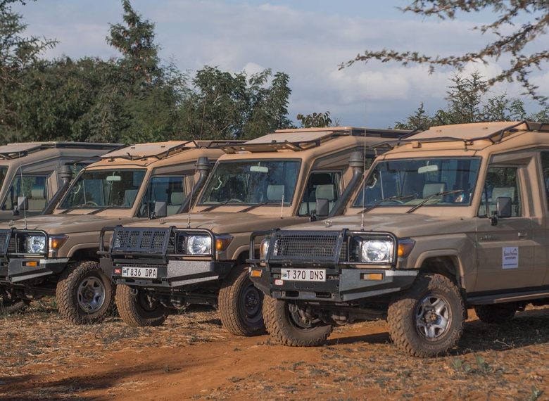 5 Days Tanzania Safari with a Mixer of Luxury and Budget Lodge Experience