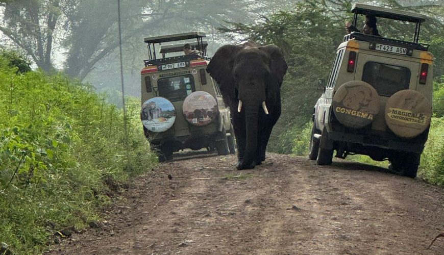 Tarangire National Park