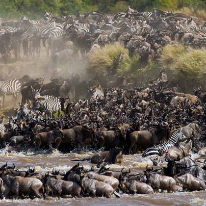 Photographic Safari, Tanzania Luxury Wildebeest Migration, Wildebeest Migration Western Corridor, Serengeti Kogatende Migration