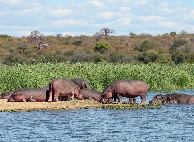 9 Days Amazing Zambezi & Luangwa Safari