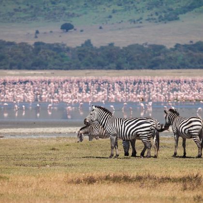 Safari To Lake Manyara, Ngorongoro & Serengeti, Camping Safari