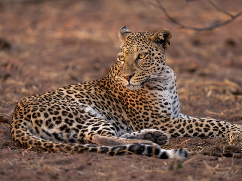 3 Days Kruger Park Safari Experience