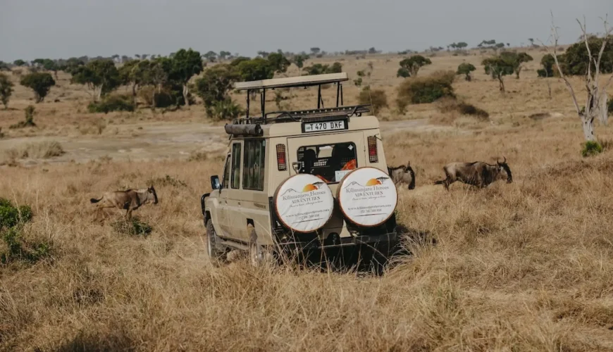 Tanzania Travel Insurance