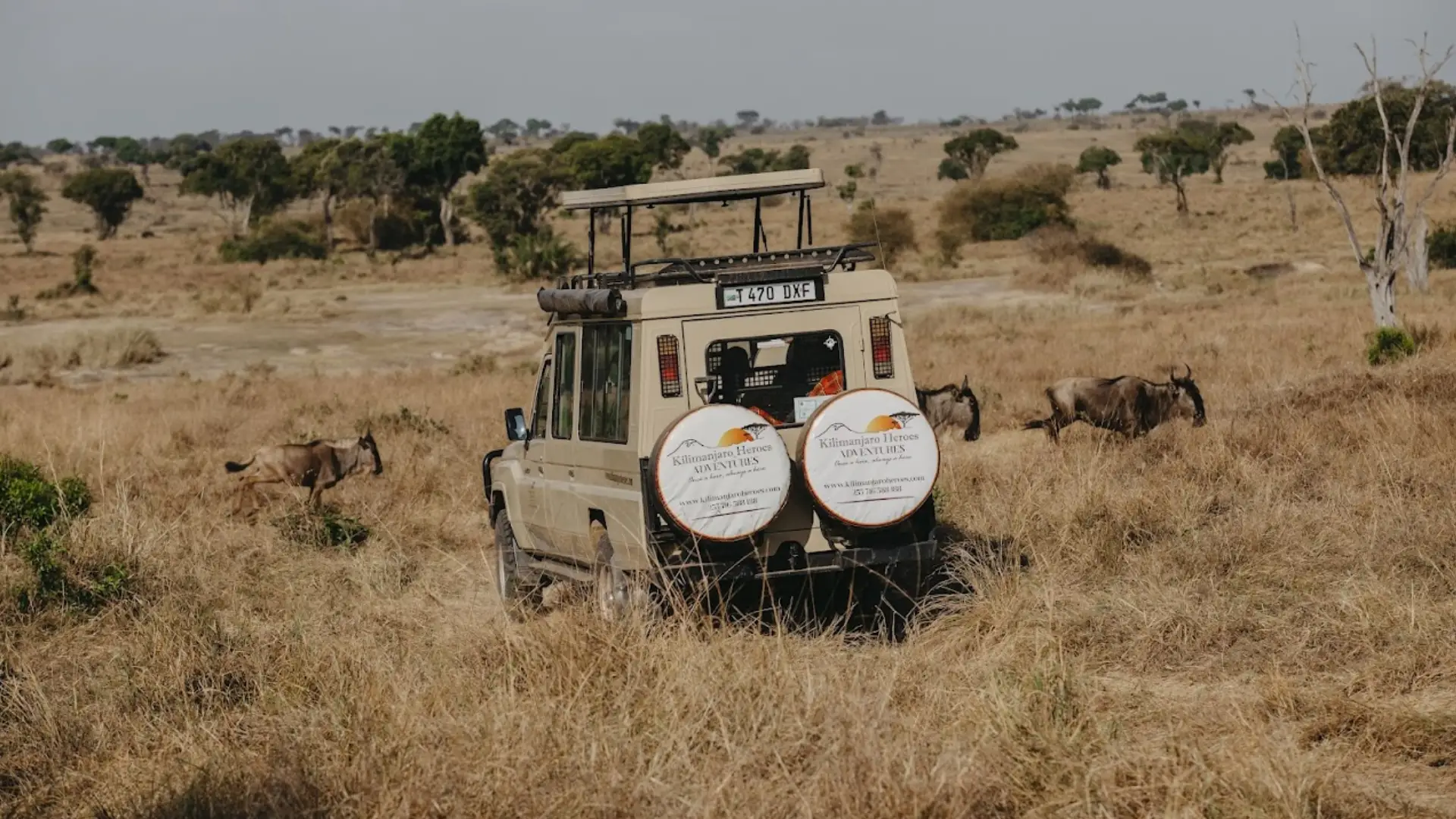 Tanzania Travel Insurance