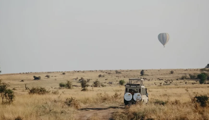 What To Do In Tanzania?