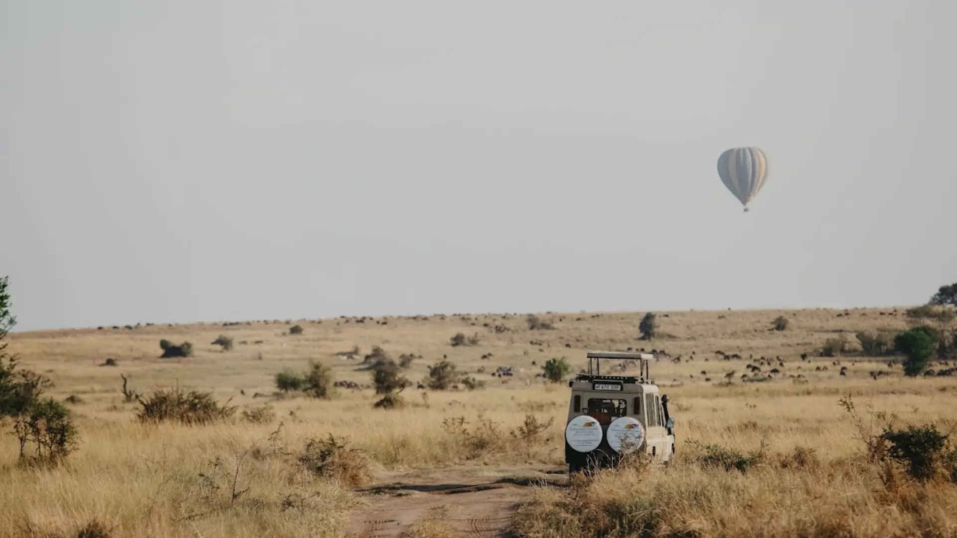 What To Do In Tanzania?