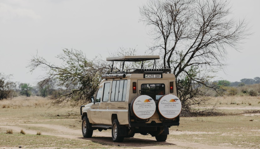 Best Time To Visit Tanzania