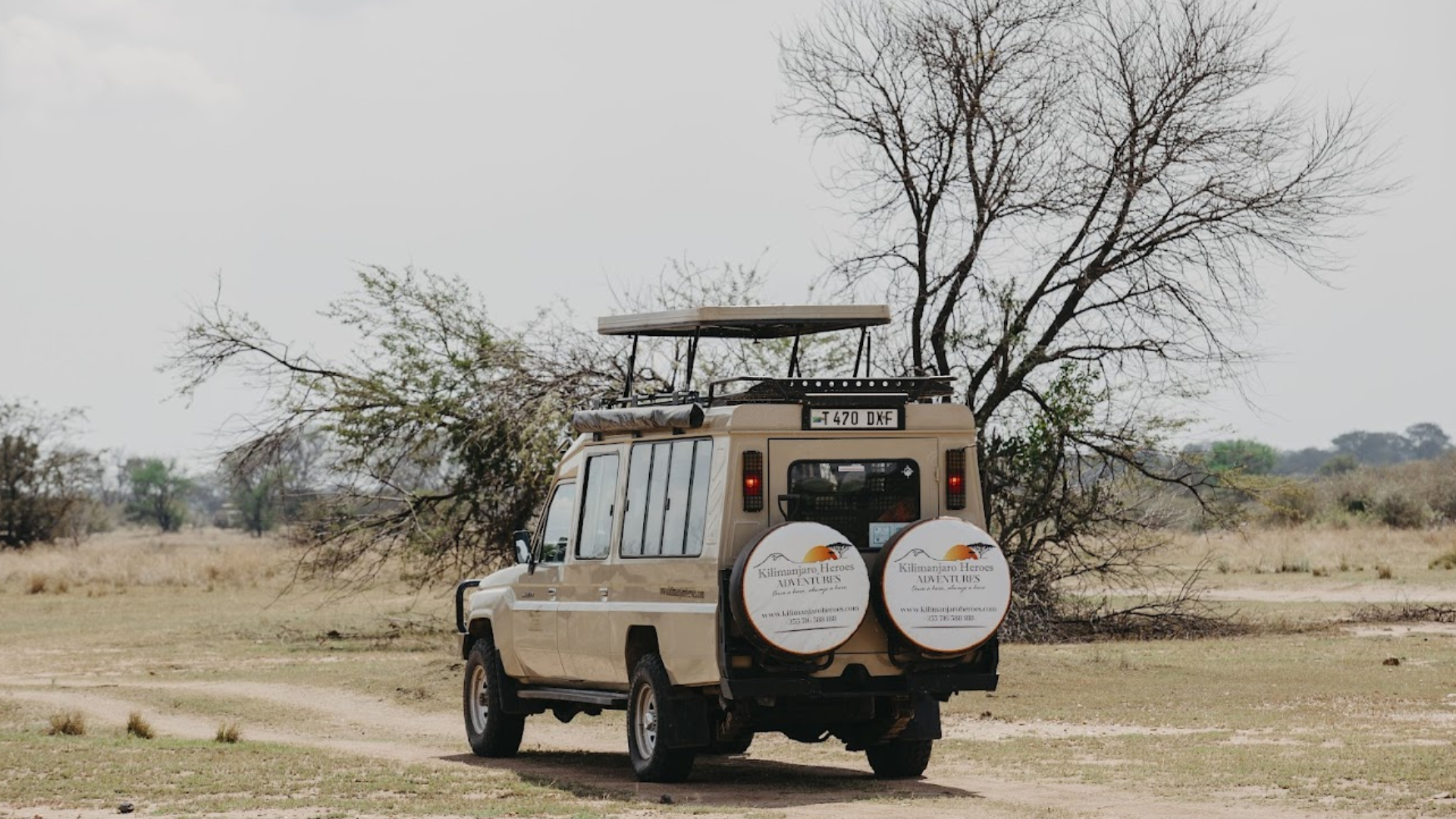 Best Time To Visit Tanzania