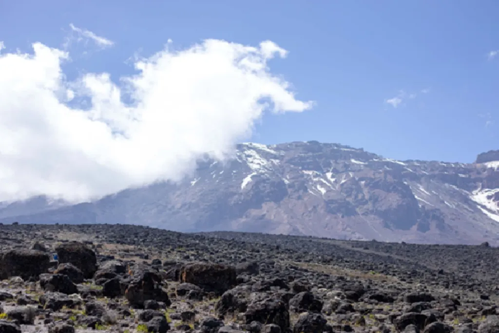 8-day Kilimanjaro Climb Northern Circuit Route