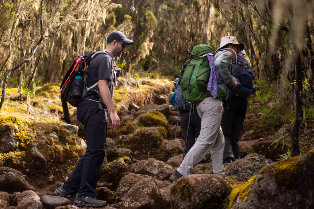 6 Days Machame Route