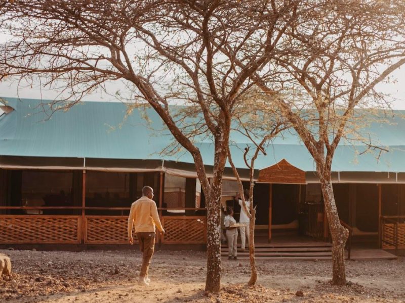 Serengeti Safari Tours