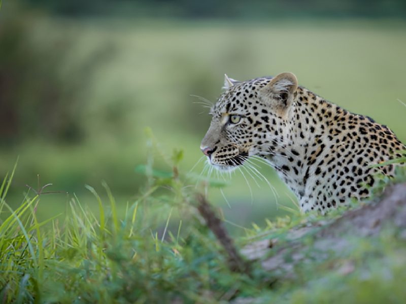 Serengeti National Park