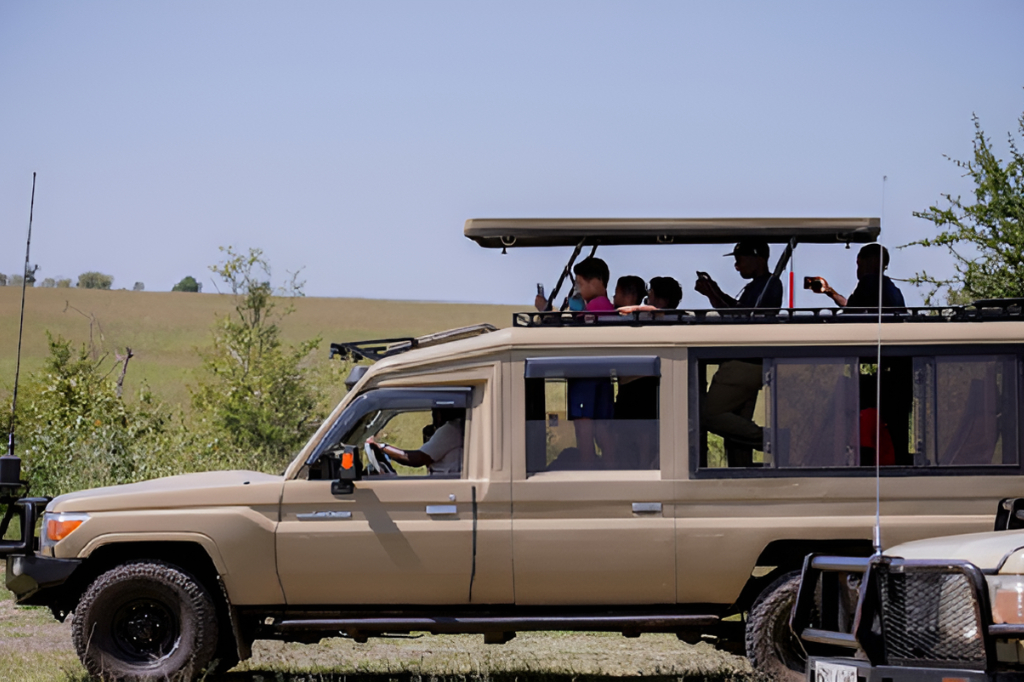 Serengeti Safari