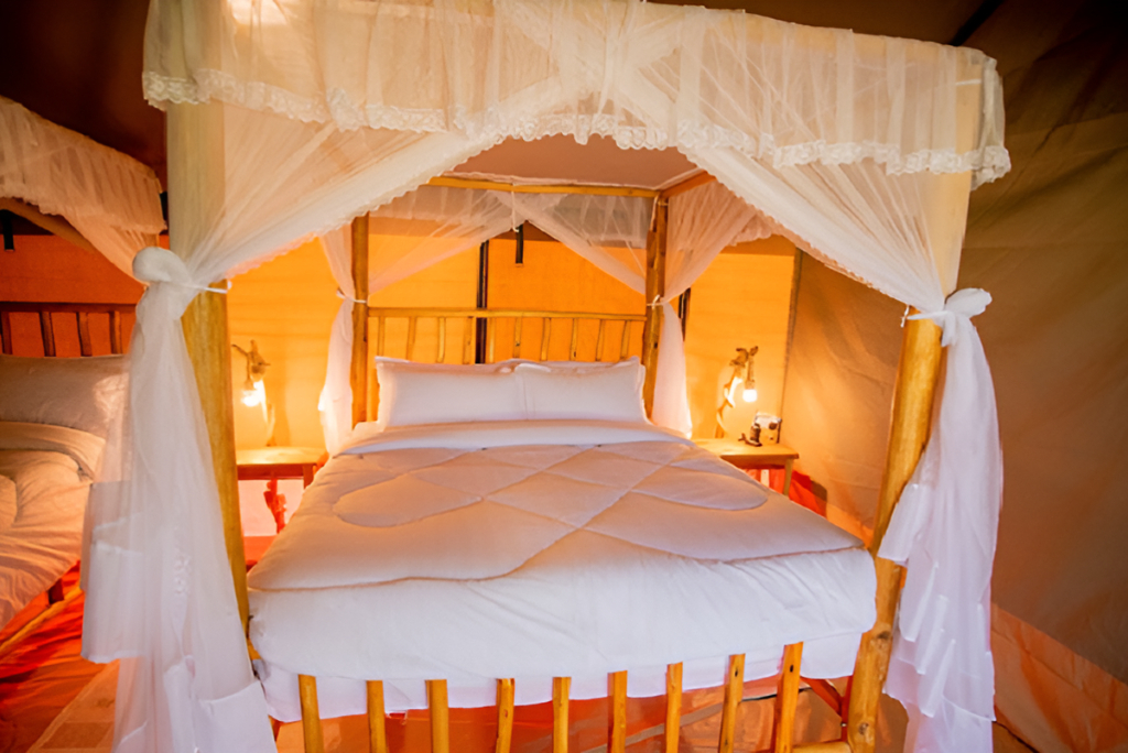 Luxury Safari in Northern Tanzania