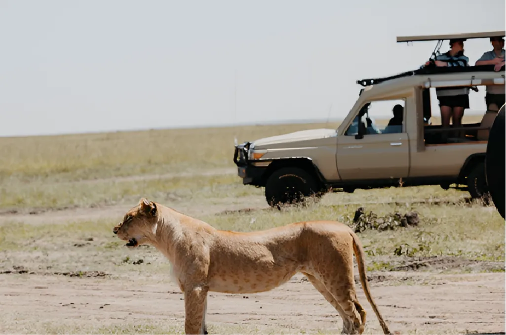Tanzania Safari Tours