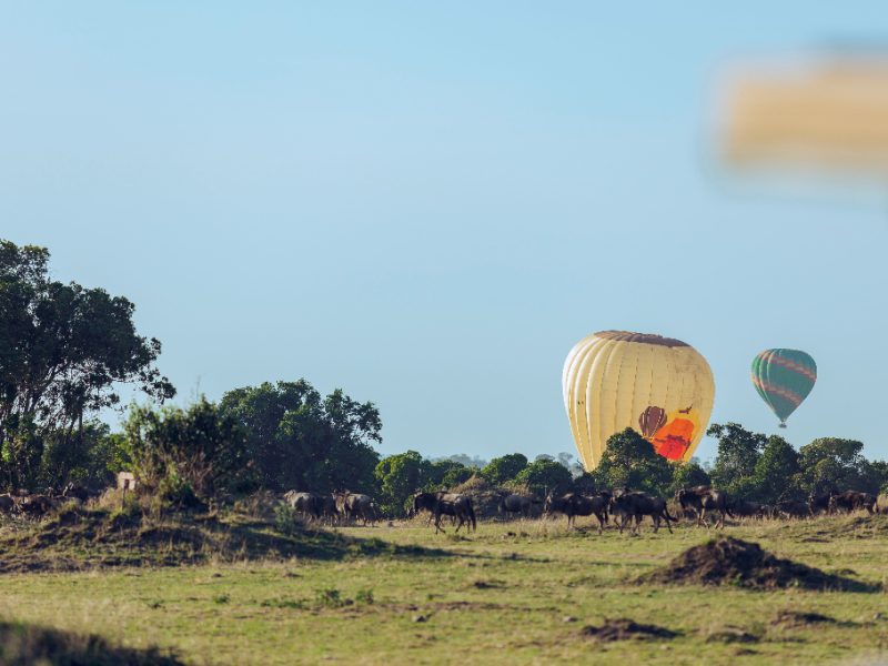 Serengeti National Park