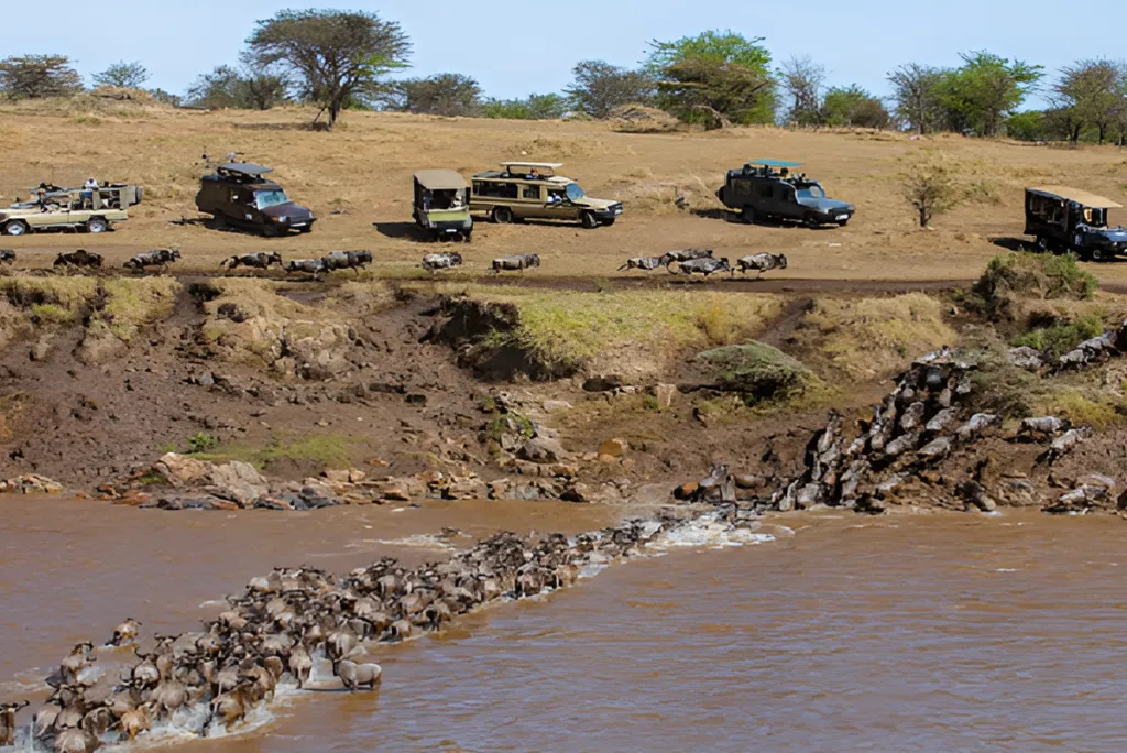 The Drama of River Crossings