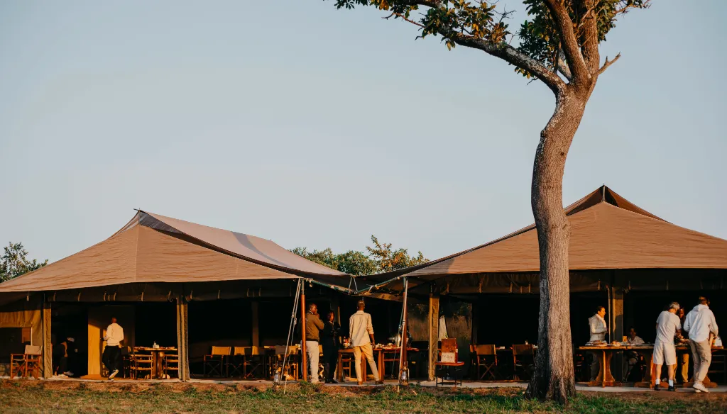 Tanzania Luxury Safari