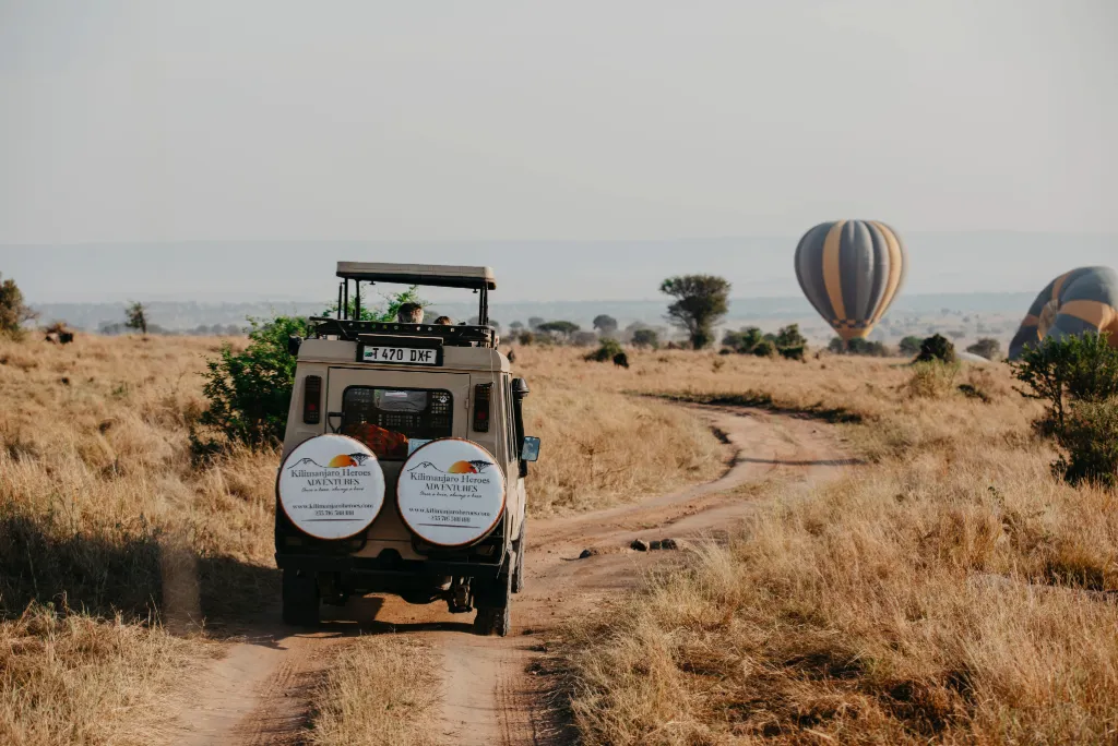 Tanzania Safari Activities