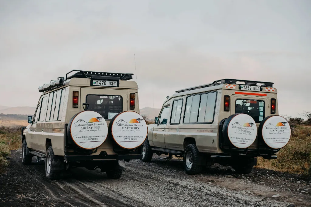 Best Safari Tour in Tanzania 