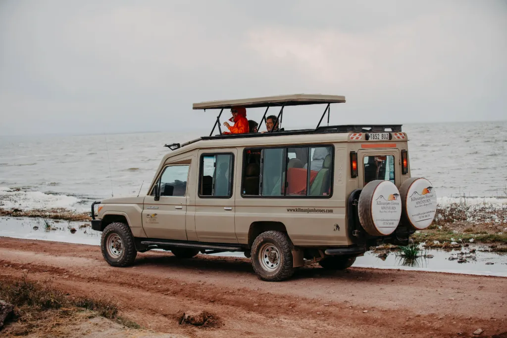 Tanzania Safari Tours