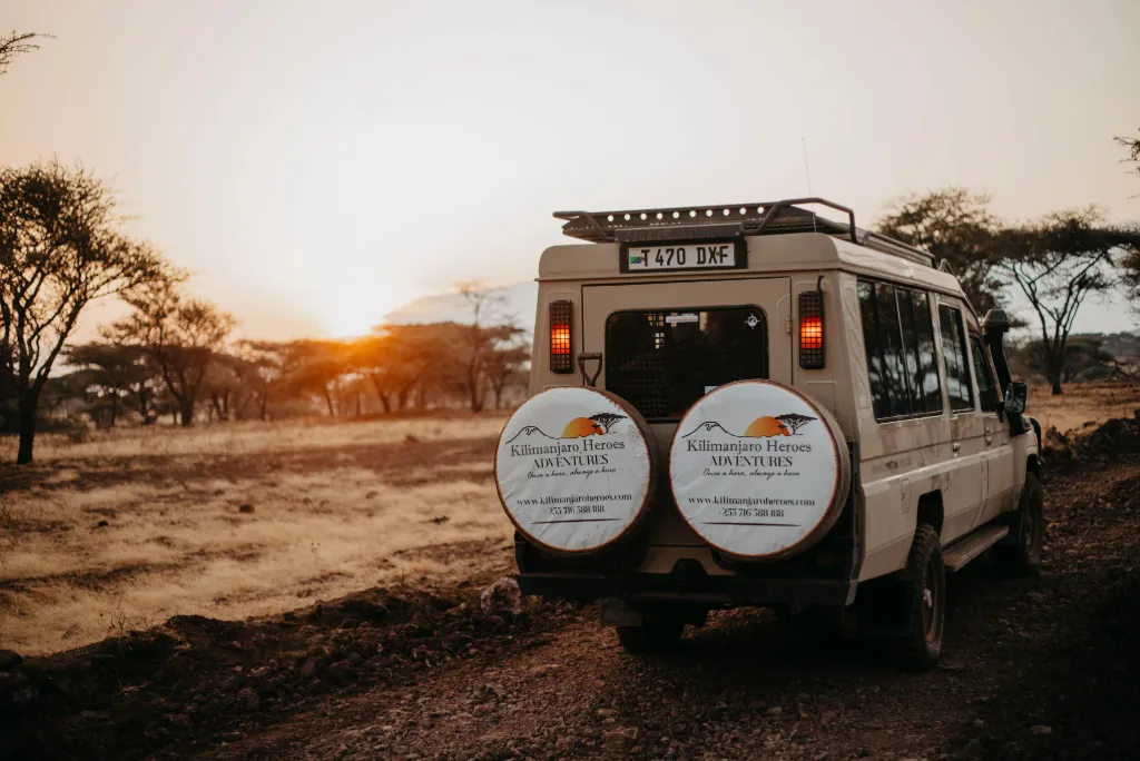 How To Get to the Serengeti