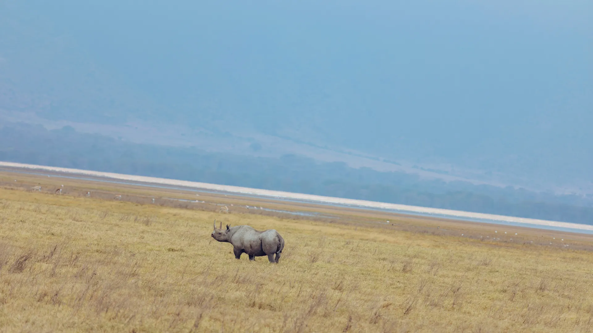 Ngorongoro Safari
