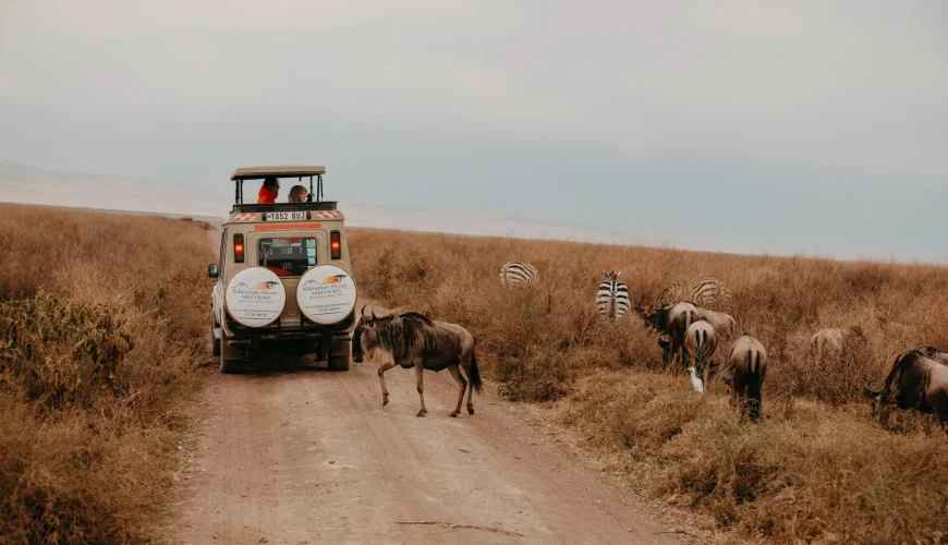 Tanzania Safari Tours