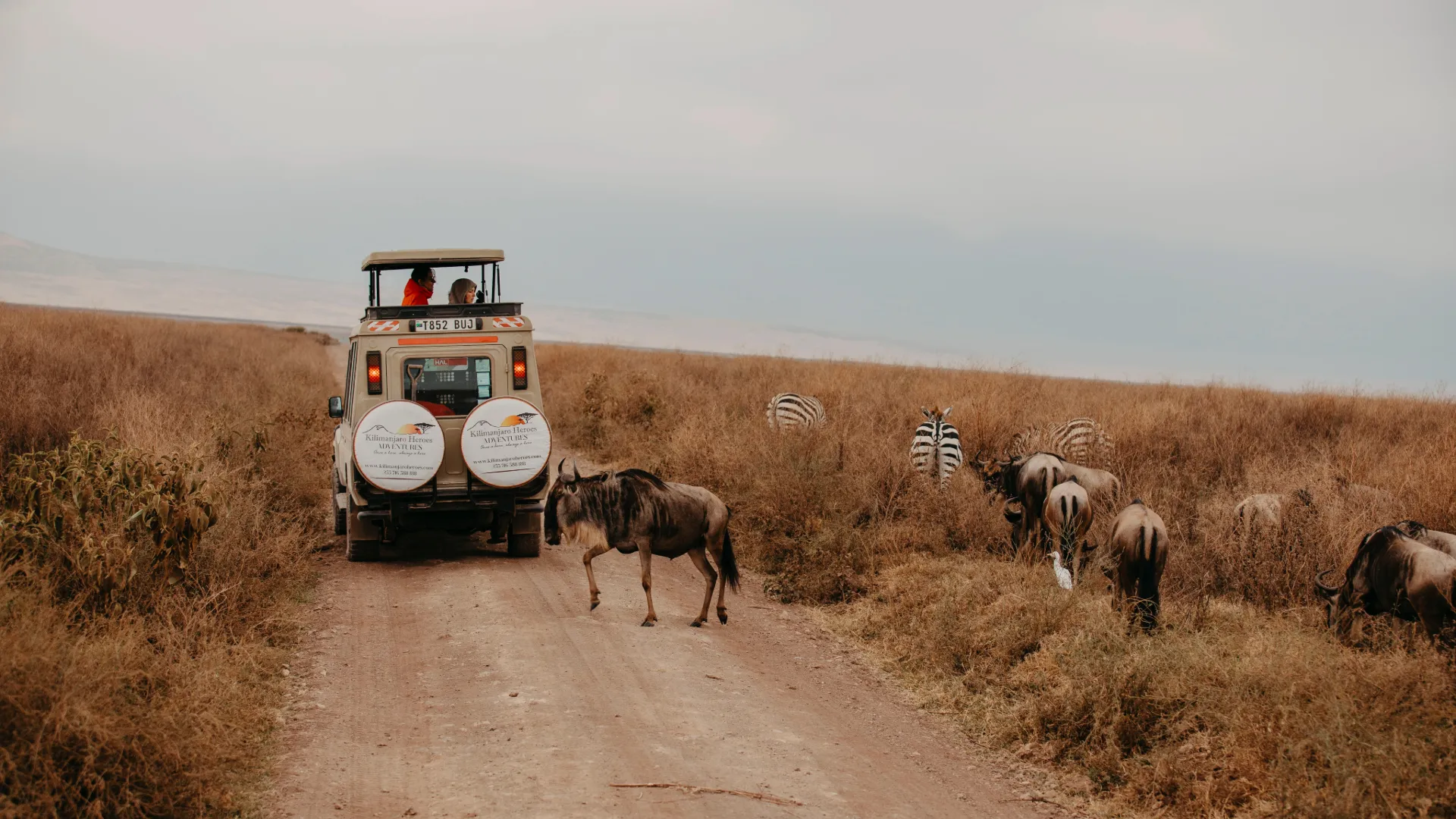 Tanzania Safari Tours