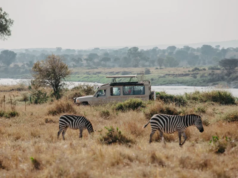 Tanzania Safari Tours Packages