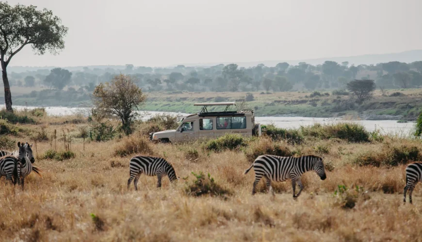 Tanzania Safari Tours Packages